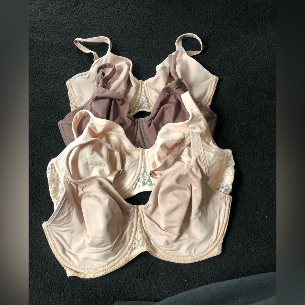 Ellen Tracy 36DD Bras